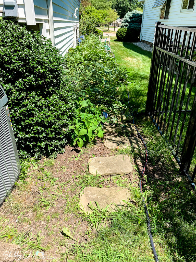 overgrown flower bed with weed and rock stepping stones prior to being power washed