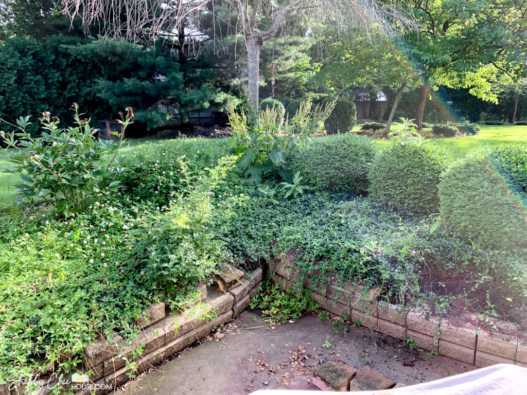 corner of patio with overgrown flower beds, a deteriorating retaining wall that is falling over prior to being restored to prepare house for sale.