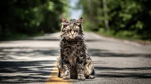 Pet Sematary cat on the road