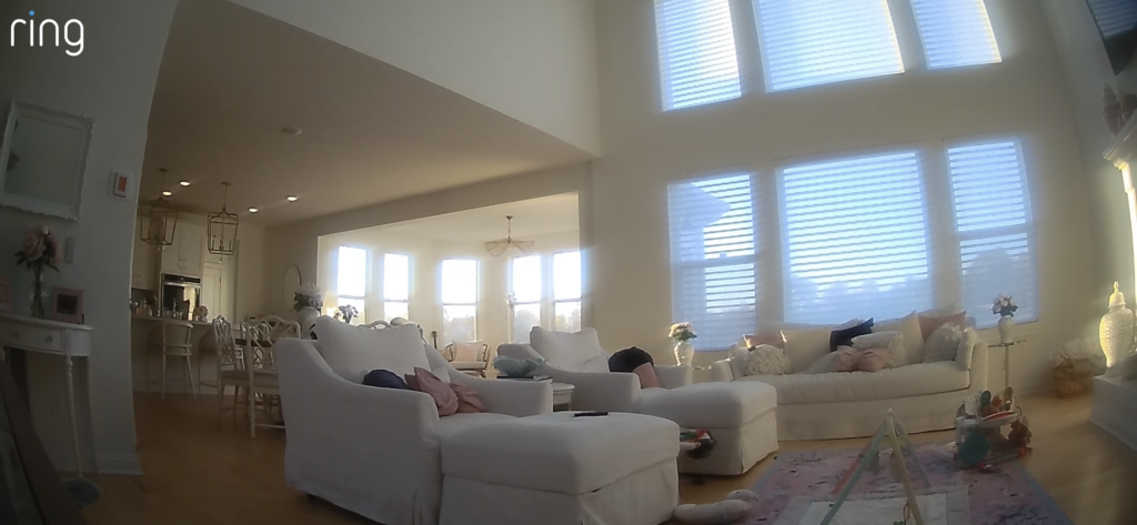 Ring Indoor Cam footage example